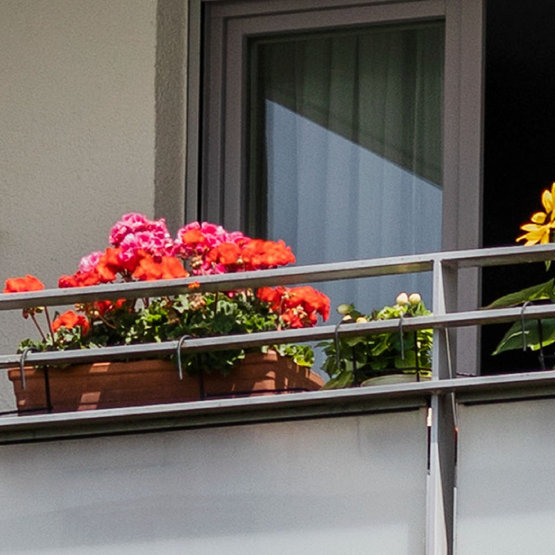 Piante da balcone