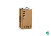 Ficus Ginseng L