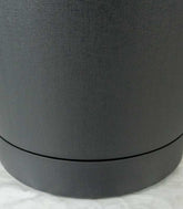 Polyscias Scutellaria | 85 cm